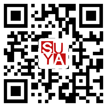 蘇州速亞電子有限公司